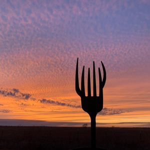 Meet your Posher, Jeff